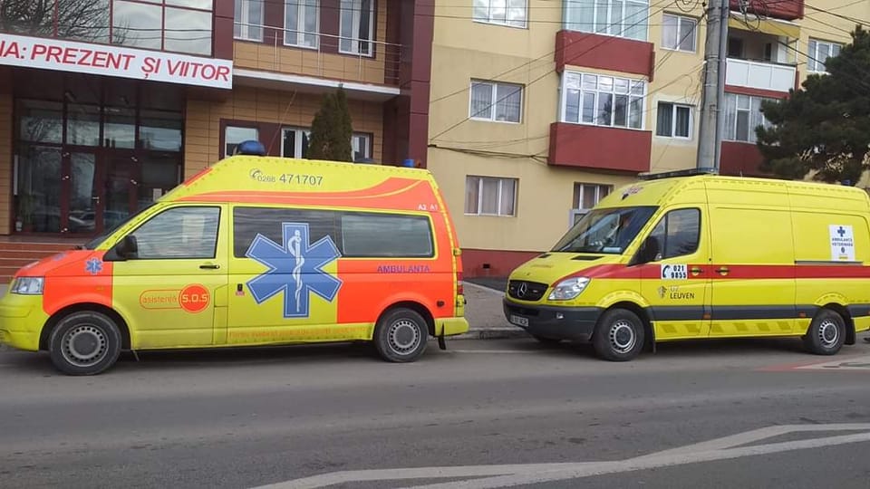 Acțiune de capturare a câinilor comunitari din Cumpăna. Primăria îi îndeamnă pe cetățeni să sprijine acțiunile