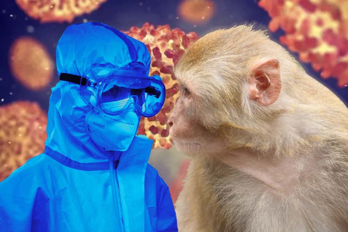 ALERTĂ! OMS declară variola maimuţei drept urgenţă sanitară globală