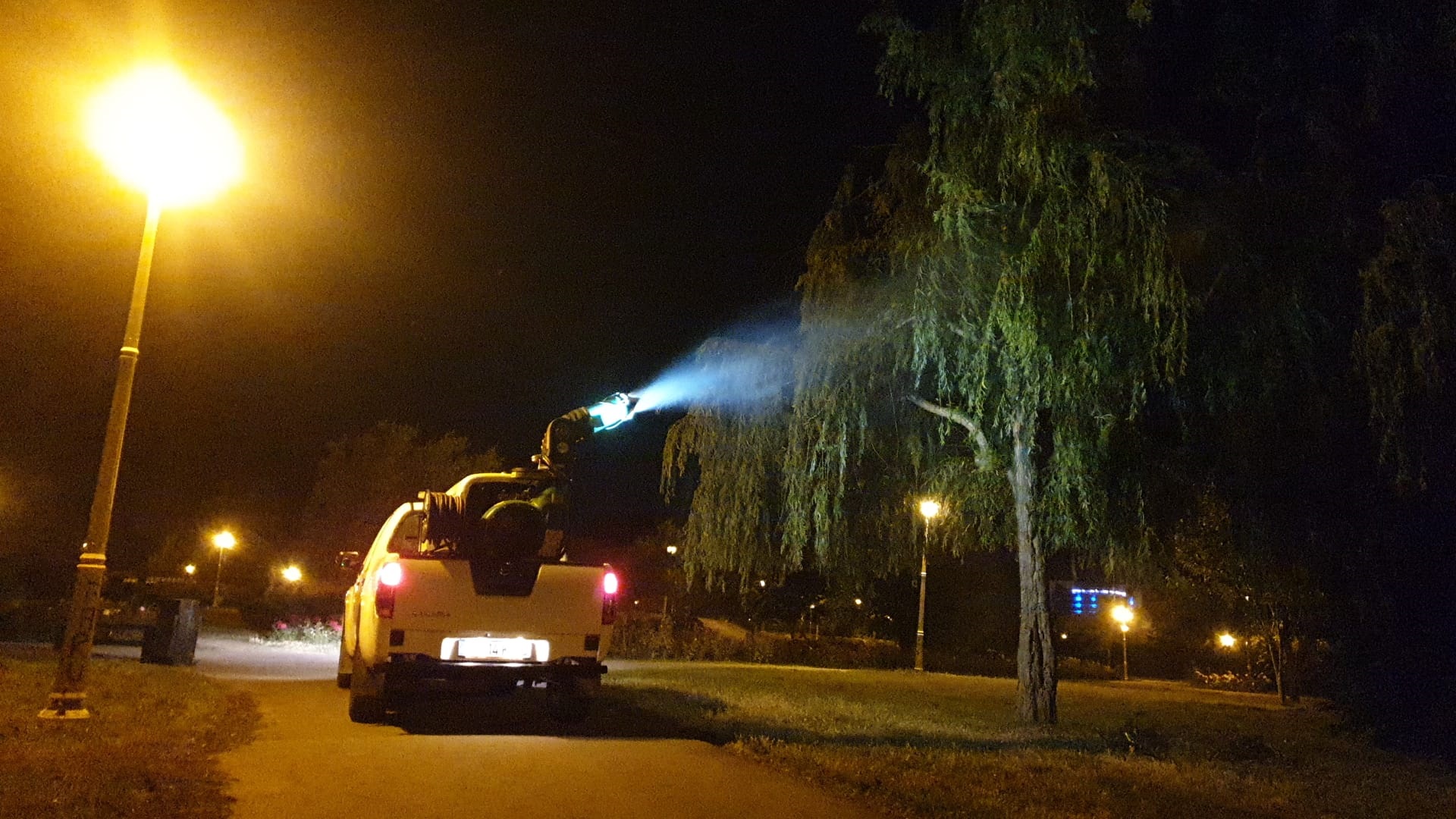 (FOTO) Primăria Constanța desfășoară acțiuni intensificate de dezinsecție în oraș