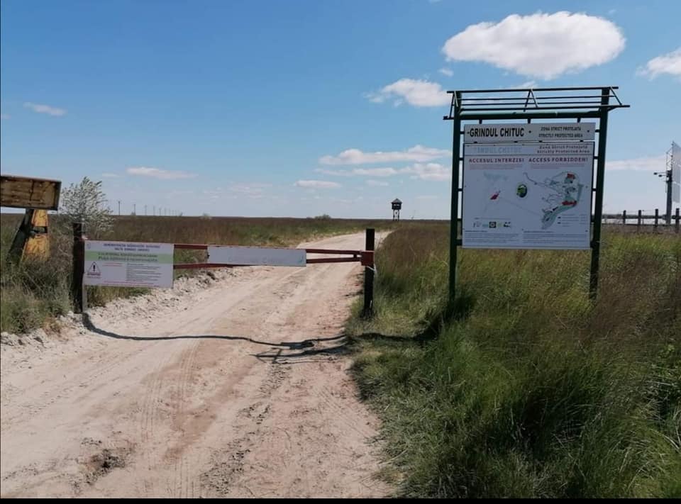 A fost deschis un dosar penal pentru intrarea cu mașinile pe Grindul Chituc, aflat în zona de strictă protecție din Delta Dunării