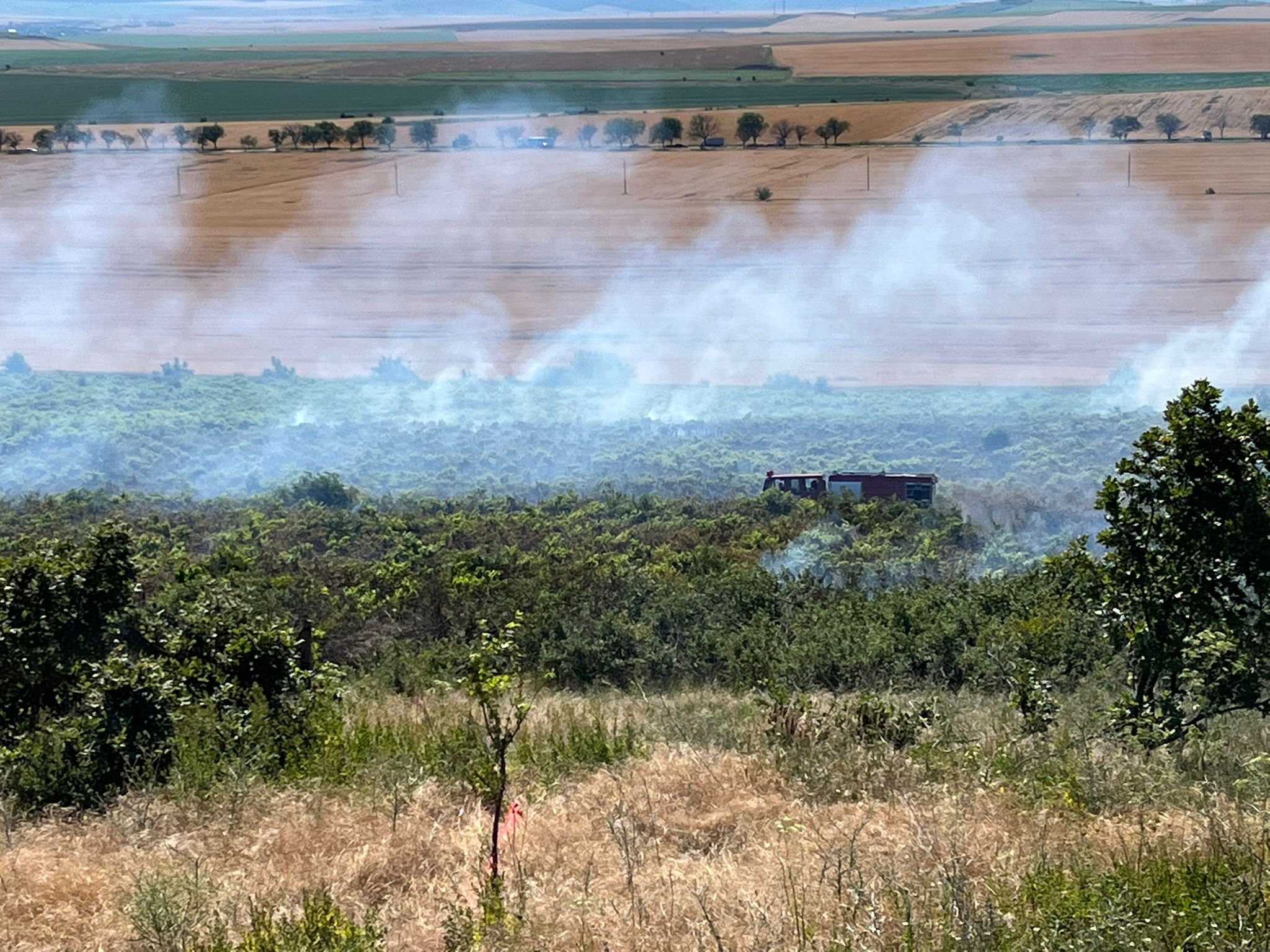 (FOTO/VIDEO) Arde un câmp de viță de vie din județul Tulcea