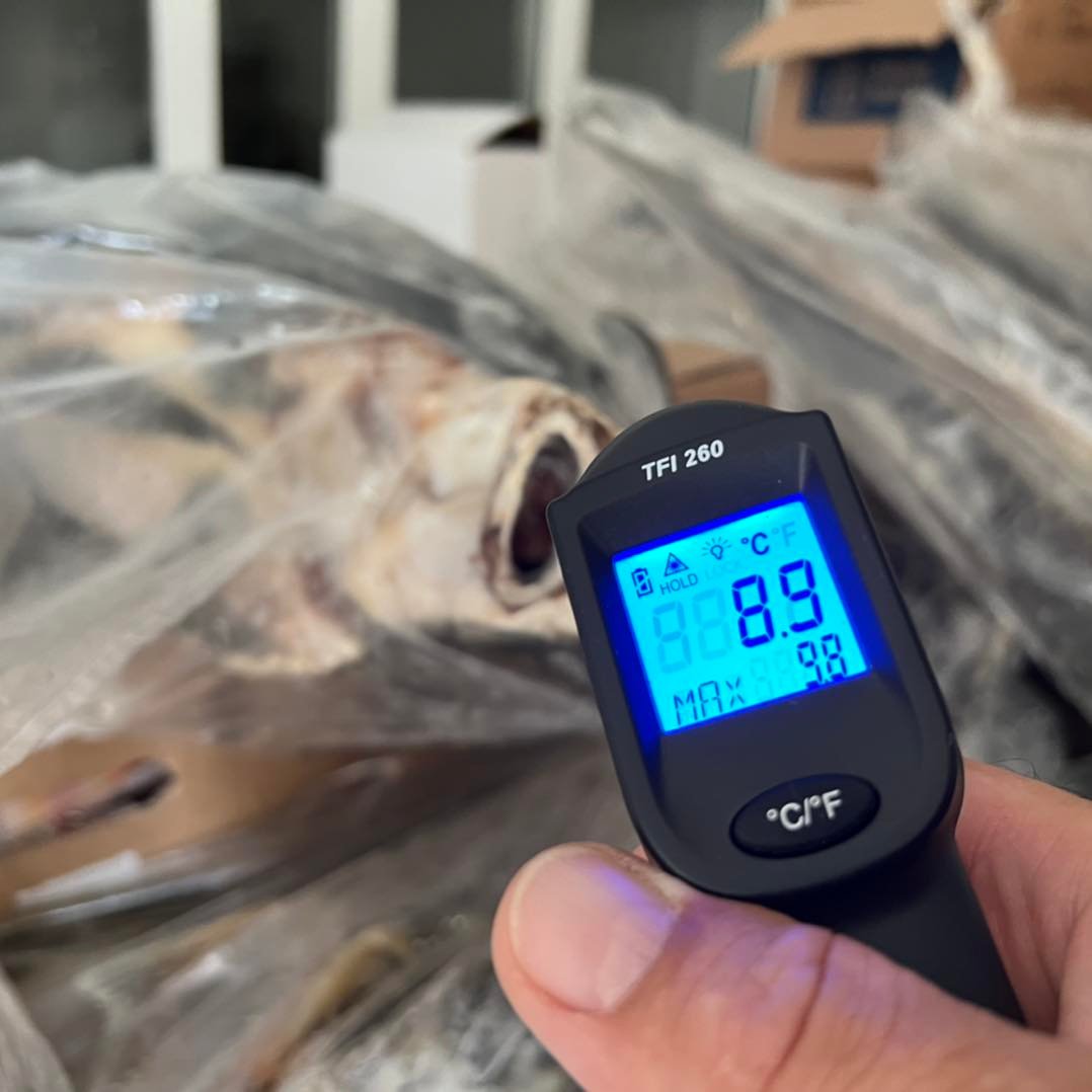 Pește depozitat neconform și carne expirată, descoperite de ANPC la comercianții de pe litoral