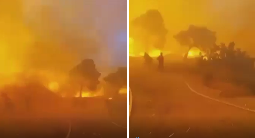(VIDEO) IMAGINI DRAMATICE cu incendiile de vegetație din Grecia. Pompierii românii sunt și ei prezenți