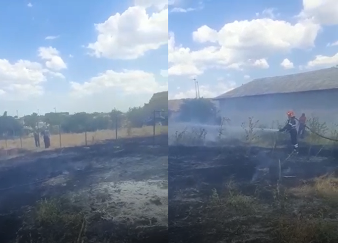 (VIDEO) Incendiu de vegetație în județul Tulcea, izbucnit de la scânteile unui aparat de sudură