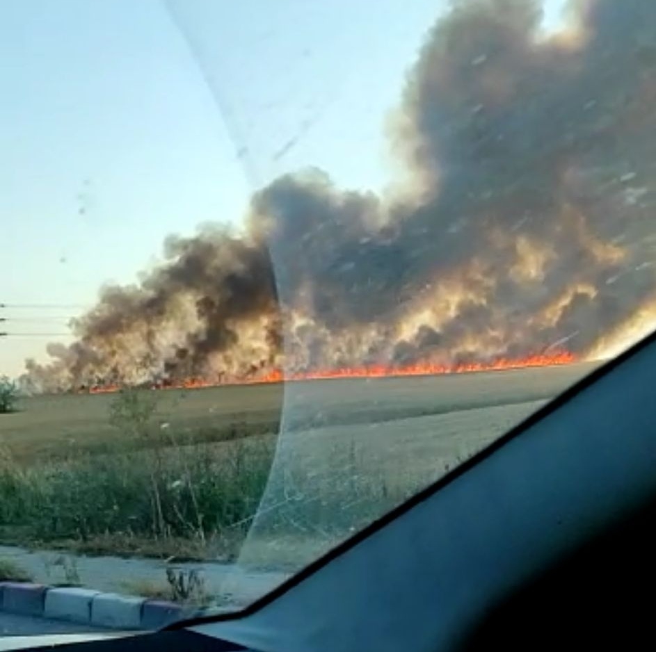 ALERTĂ! Incendiu puternic la Năvodari: Ard hectare întregi de grâu