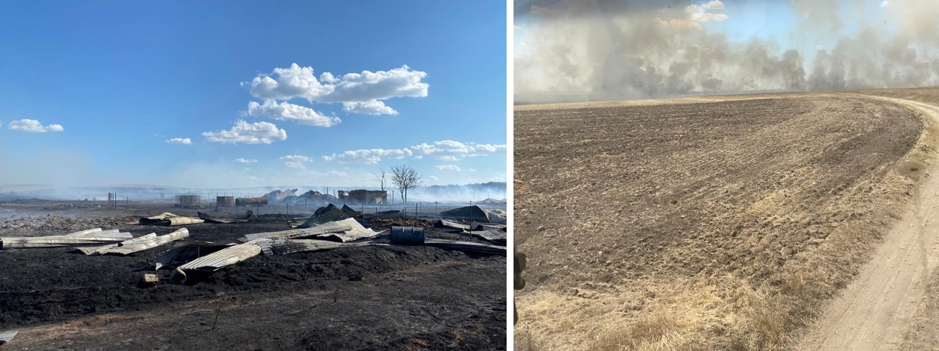 Animale arse de vii și peste 400 de hectare afectate: Incendiu DEVASTATOR pe raza comunei Jurilovca în urma tragerilor din Poligonul Babadag