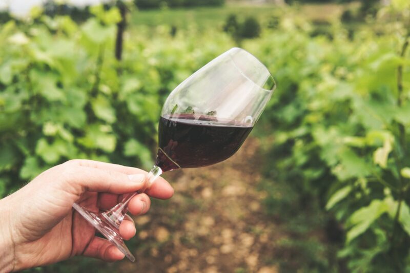 Familia Halep aduce un nou vin pe piață și vrea să deschidă o cramă în județul Constanța