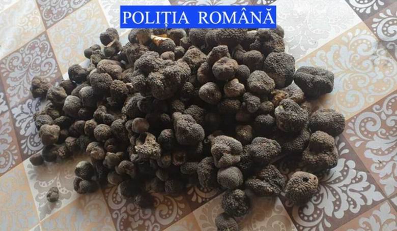 Captură impresionantă pentru polițiștii din Măcin: au confiscat peste 15 tone de trufe negre