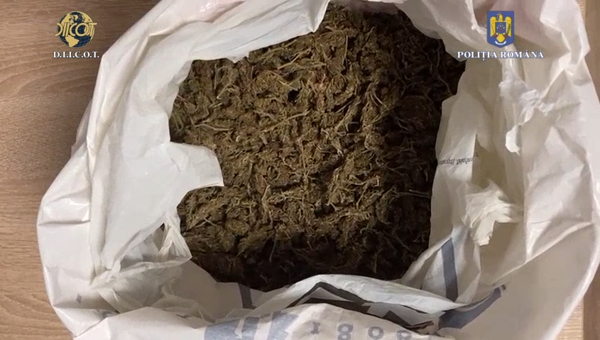 (VIDEO) Tânăr de 21 de ani prins în FLAGRANT de polițiștii constănțeni când vindea cannabis
