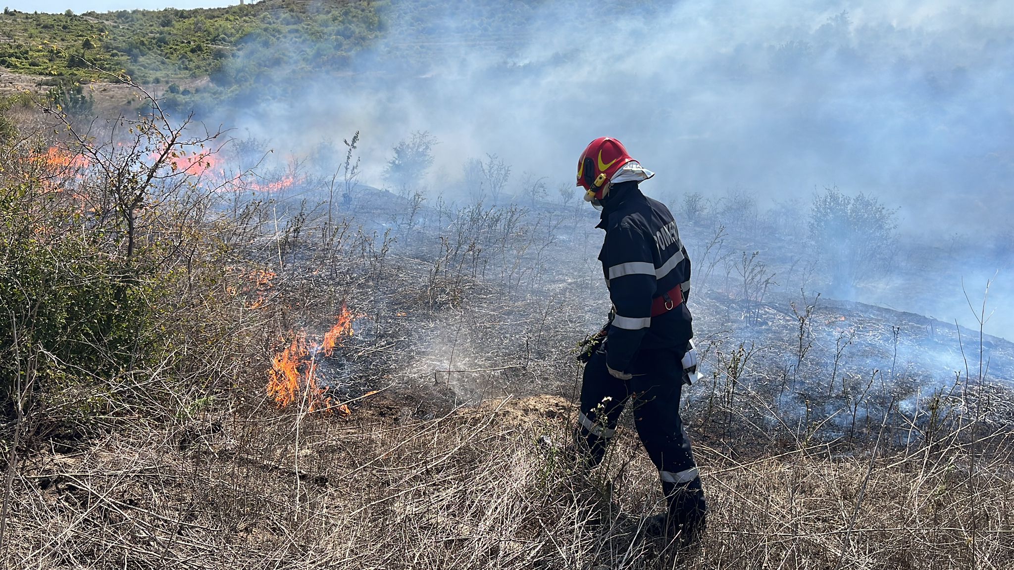 Peste 50 de hectare de vegetaţie uscată au ars în Delta Dunării, în weekend