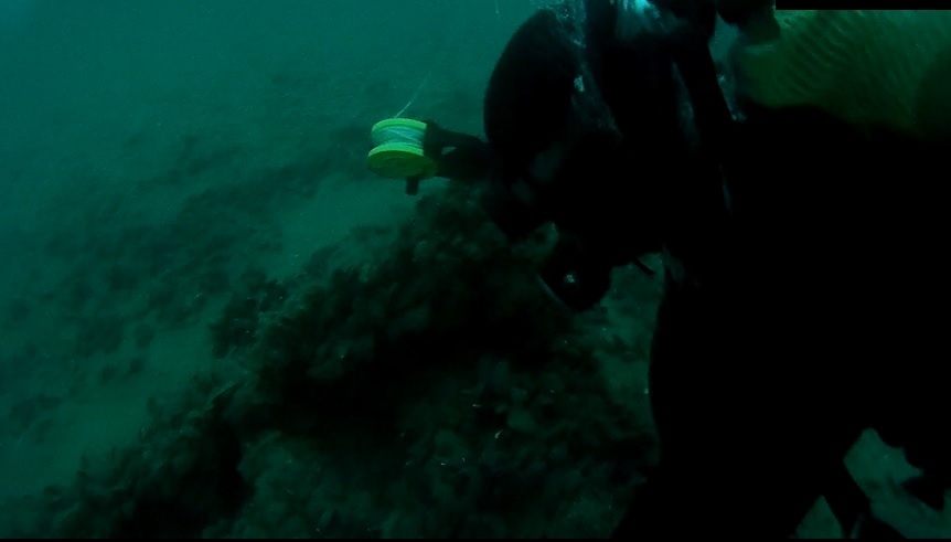 (VIDEO) O mină a fost găsită pe fundul Mării Negre, în raionul Tuzla. Este una dintre minele din barajul istoric