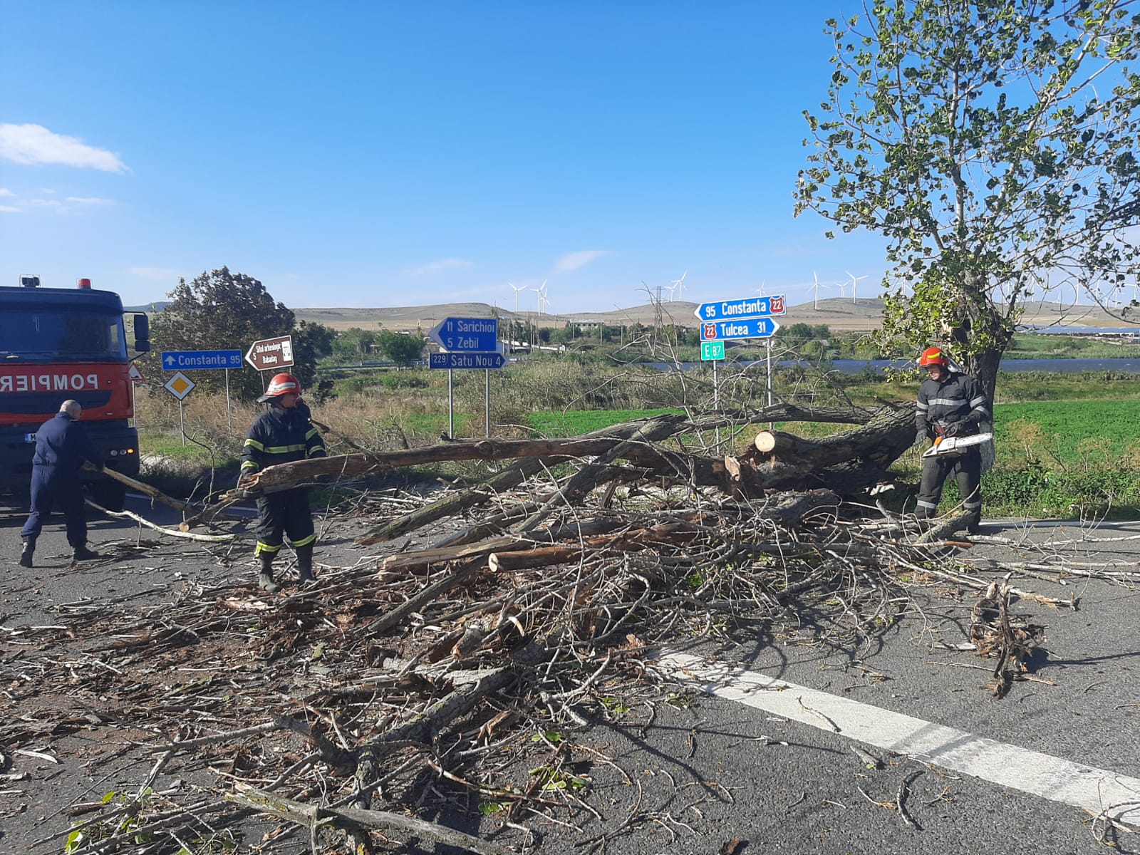 (FOTO) Vântul puternic a făcut ravagii și în județul Tulcea. DN 22, blocat din cauza mai multor copaci prăbușiți