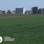 Iată proprietarii terenurilor pe care se va construi parcul de pe DN3C! Primăria Constanța împarte 200.000 de euro la 40 de familii
