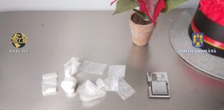 Trafic de cocaină - Percheziții DIICOT
