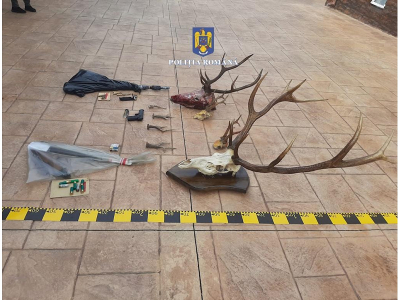 Percheziții în mai multe județe, într-un dosar de braconaj cinegetic. Prejudiciu de peste 24.000 de euro
