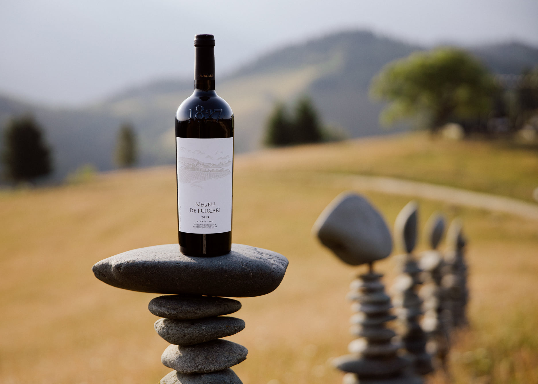 Grupul Purcari a achiziționat 76% din acțiunile Cramei Angel’s Estate din Bulgaria. Localizată lângă Stara Zagora, crama deține aproximativ 100 ha de podgorii proprii și capacitatea anuală de producție care depășește un milion de sticle
