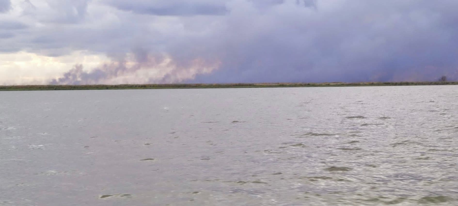 Ard hectare întregi de stuf din Delta Dunării, în zona Sfântu Gheorghe!