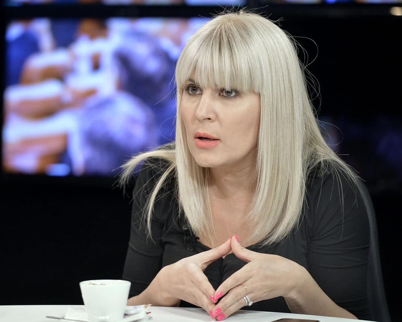 Terenurile Elenei Udrea, greu de vândut de ANAF
