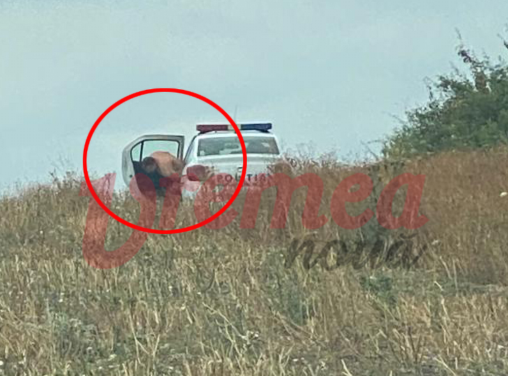 Polițistul fotografiat dezbrăcat pe un câmp s-a PENSIONAT de urgență
