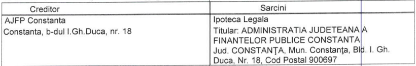 Sarcini reale și privilegii