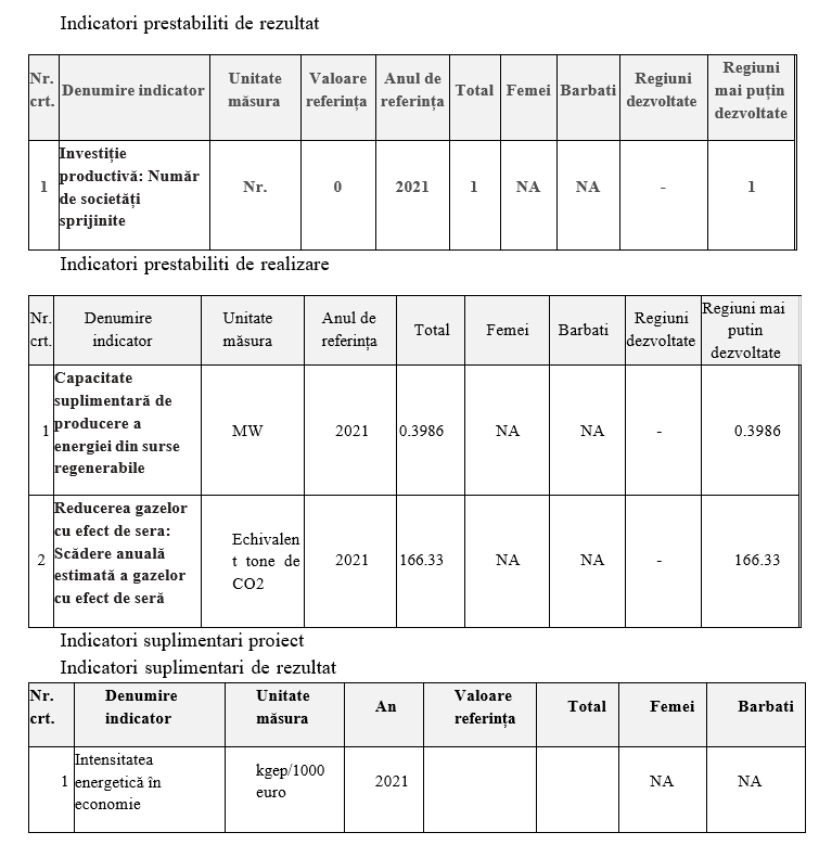 Indicatorii proiectului