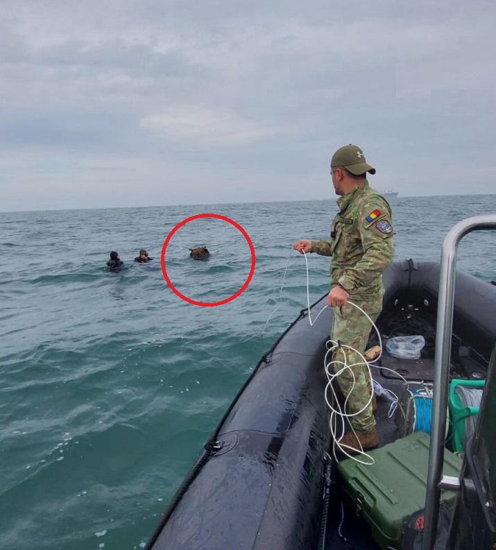 (FOTO) O mină marină a fost descoperită în apropiere de Portul Constanța