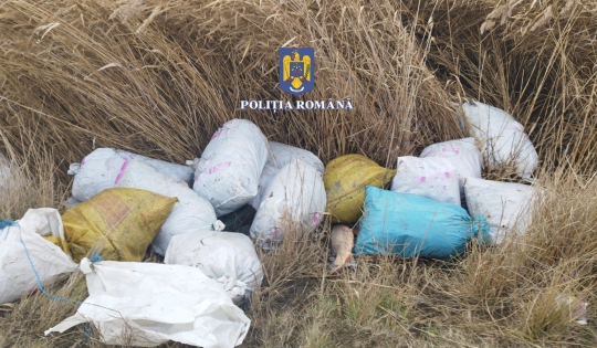 Activități ilegale de pescuit în Sinoe: Peste 100 de kilograme de pește au fost confiscate