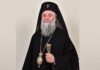 Înaltpreasfinţitul Părinte Irineu, Mitropolitul Olteniei