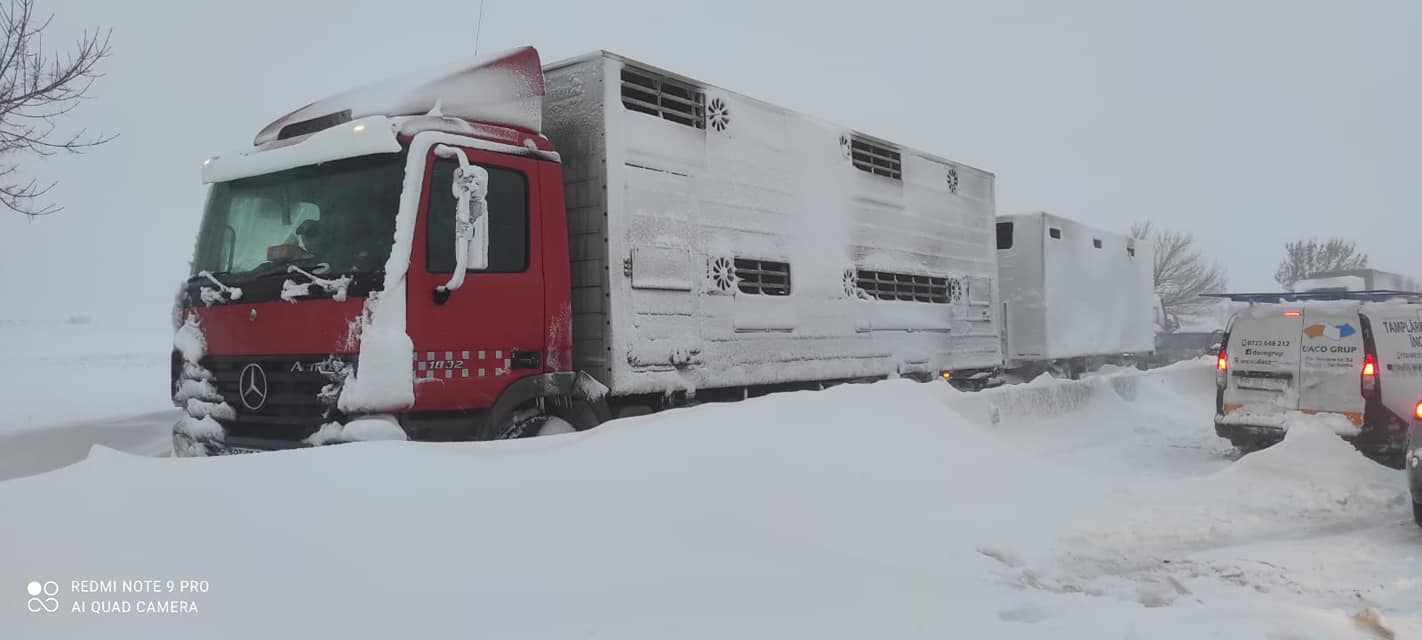 Anunț important! Se ia în calcul oprirea circulației TIR-urilor