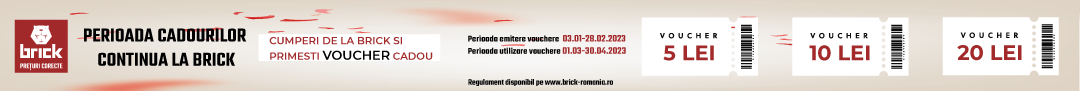 brick-constanta-oferta-ianuarie-28-februarie-2023-magazin-bricolaj-constanta-constructii