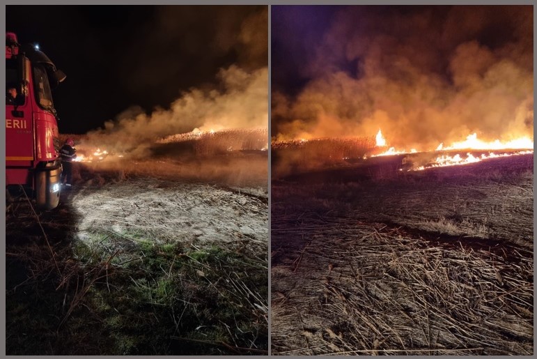 (FOTO/VIDEO) Tot mai multe incendii de vegetație uscată în județul Tulcea: Ieri au ars peste 110 hectare de terenuri