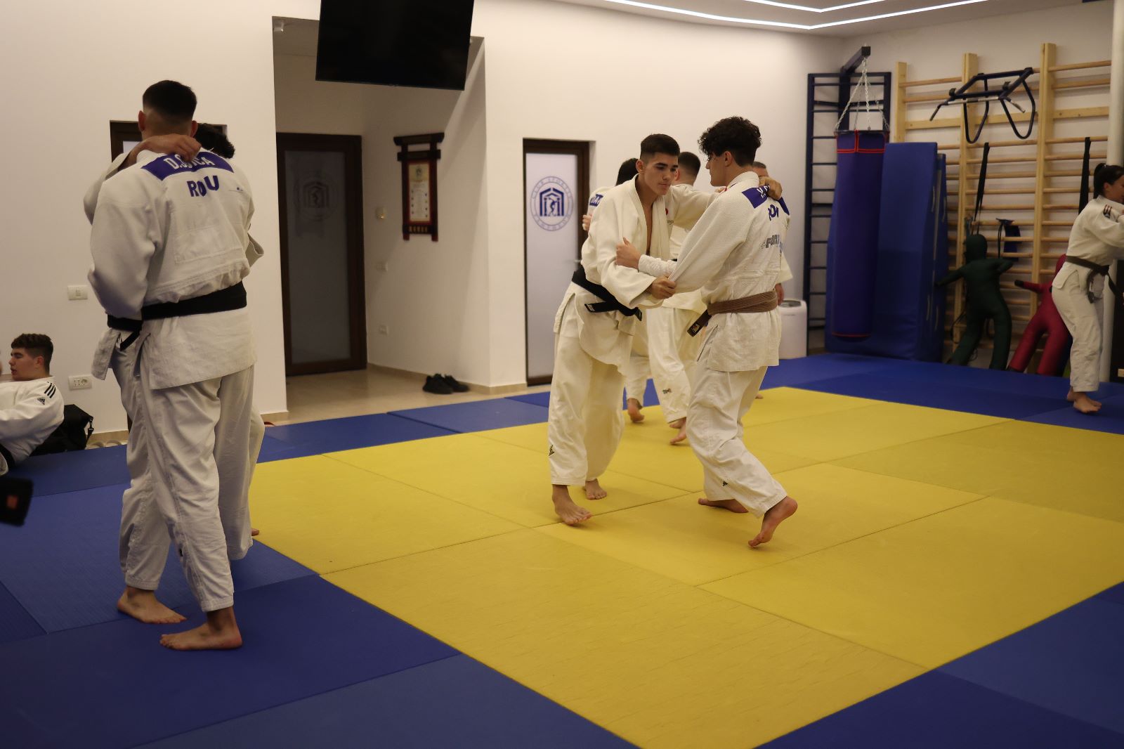 CSM Constanța - Judo