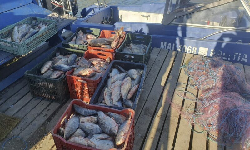 (VIDEO) Un kilometru de plase mono-filament și 207 kilograme de pește, descoperite în lacul Sinoe de polițiștii de frontieră