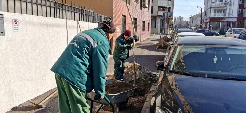 (FOTO) Spațiul verde din Constanța s-a îmbogățit cu 600 de arbori