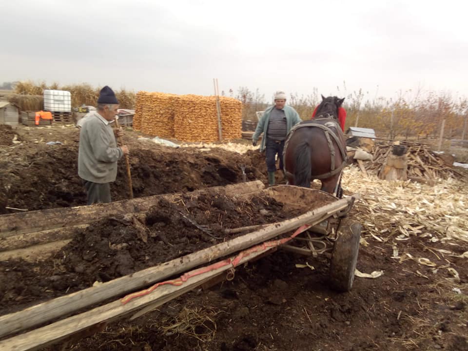 Agenții economici agricoli din comuna Lipnița și crescători de animale, invitați la o întâlnire cu autoritățile locale. Care sunt temele ce se vor discuta