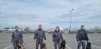 Echipaje canine și polițiștii de la IPJ Constanța