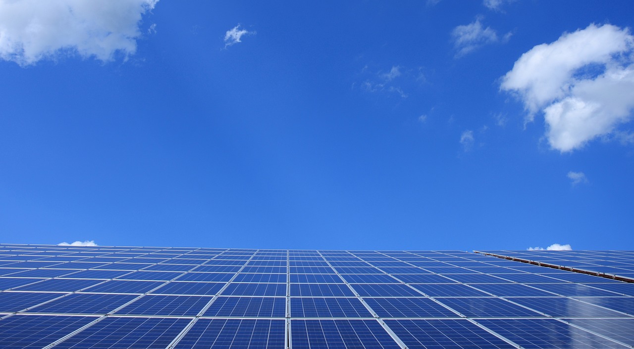 O firmă înființată la începutul anului 2023 va amenaja un parc fotovoltaic în extravilanul orașului Năvodari