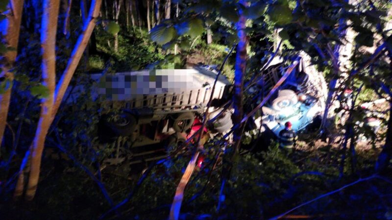 S-a RĂSTURNAT cu autotrenul în șanț: Un șofer beat a provocat un accident pe drumul spre Luncavița