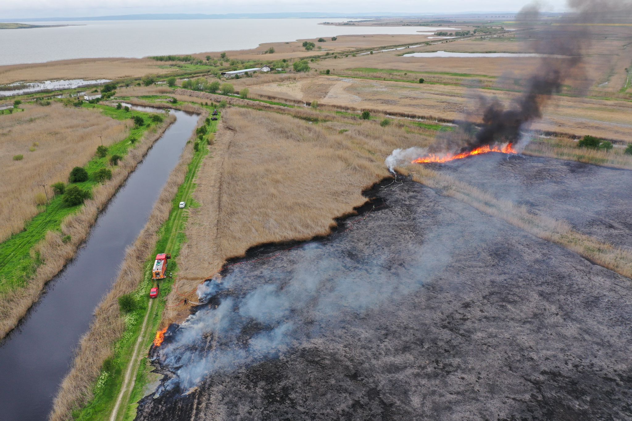 Incendiu de amploare în județul Tulcea