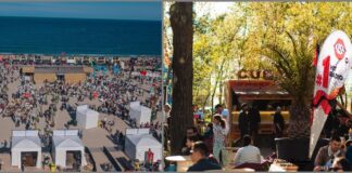 Controale festivaluri litoral 1 mai 2023