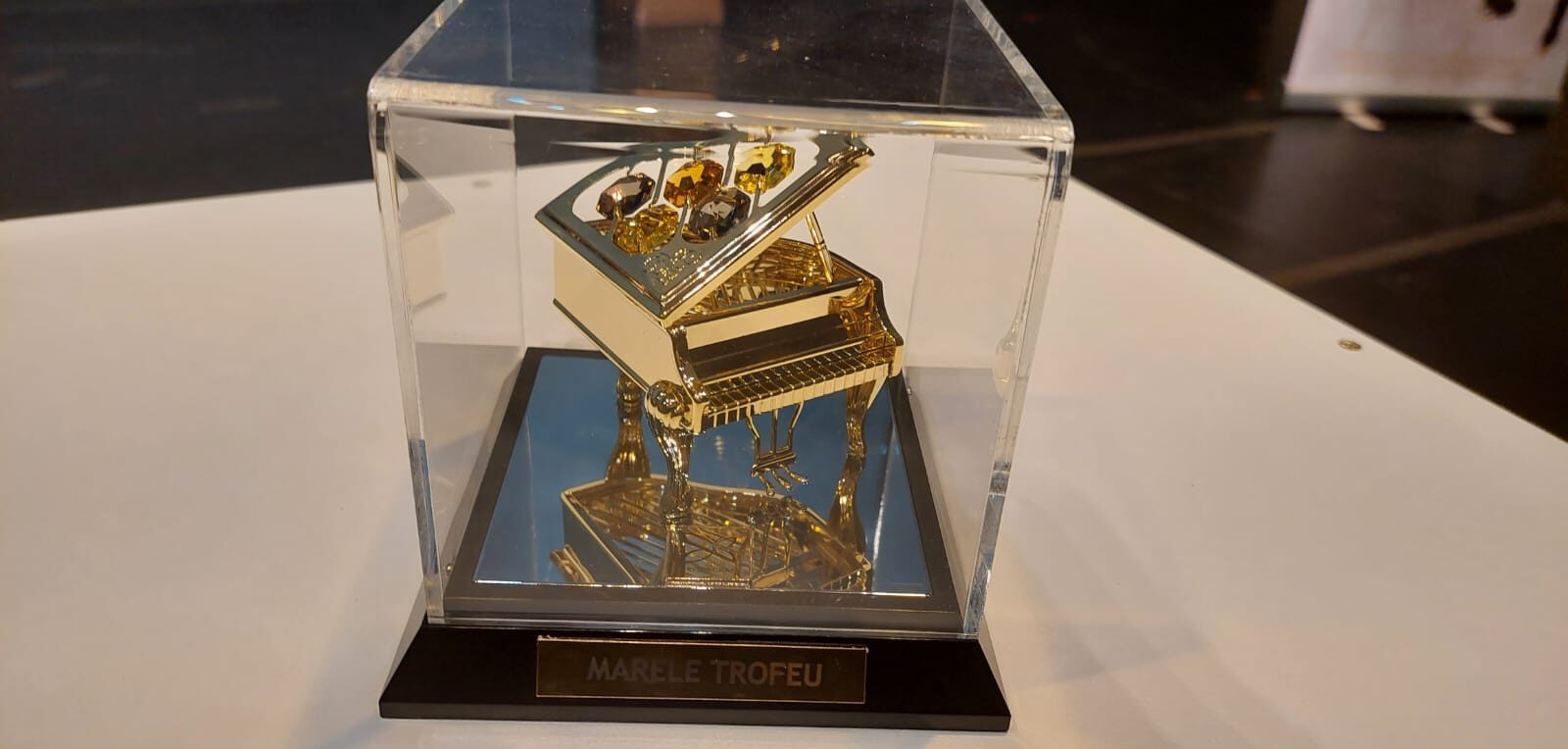 (FOTO) Daria-Andreea Dumitrașcu din Medgidia a câștigat Marele Trofeu al Concursului Național „Piano Art”: Iată ceilalți laureați