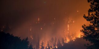 Incendiu pădure - poluarea aerului