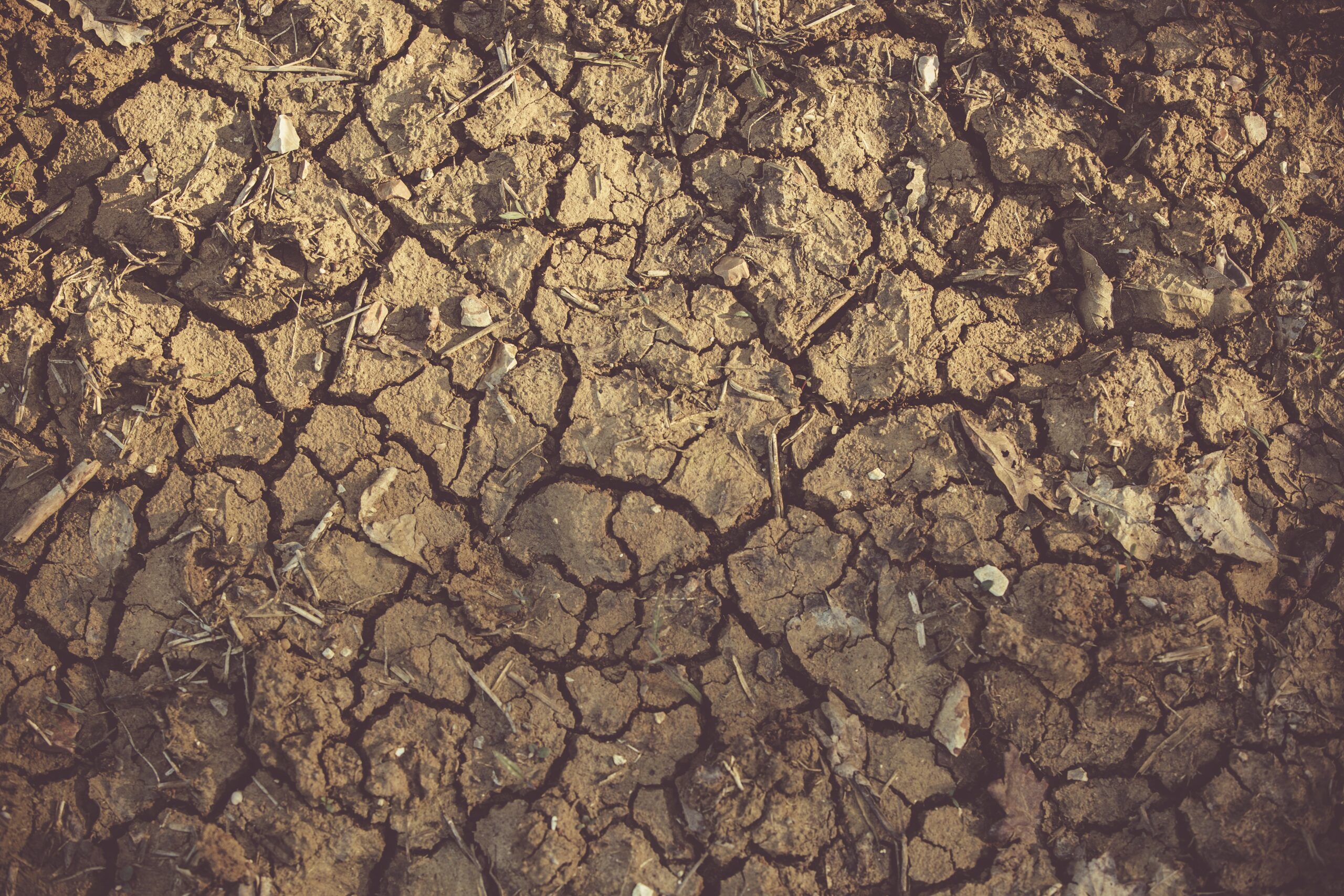 PERICOL de secetă! Europa ar putea rămâne fără apă