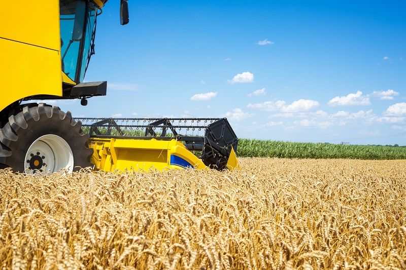 Un fost consilier PNL din Năvodari a înființat o firmă în Lumina cu activitate în domeniul agriculturii