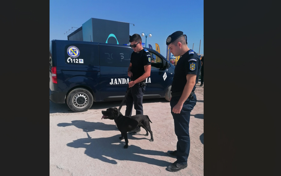 Un câine din rasa Amstaff a fost prins de jandarmi la Vama Veche: Fusese lăsat liber și putea răni pe oricine în calea sa