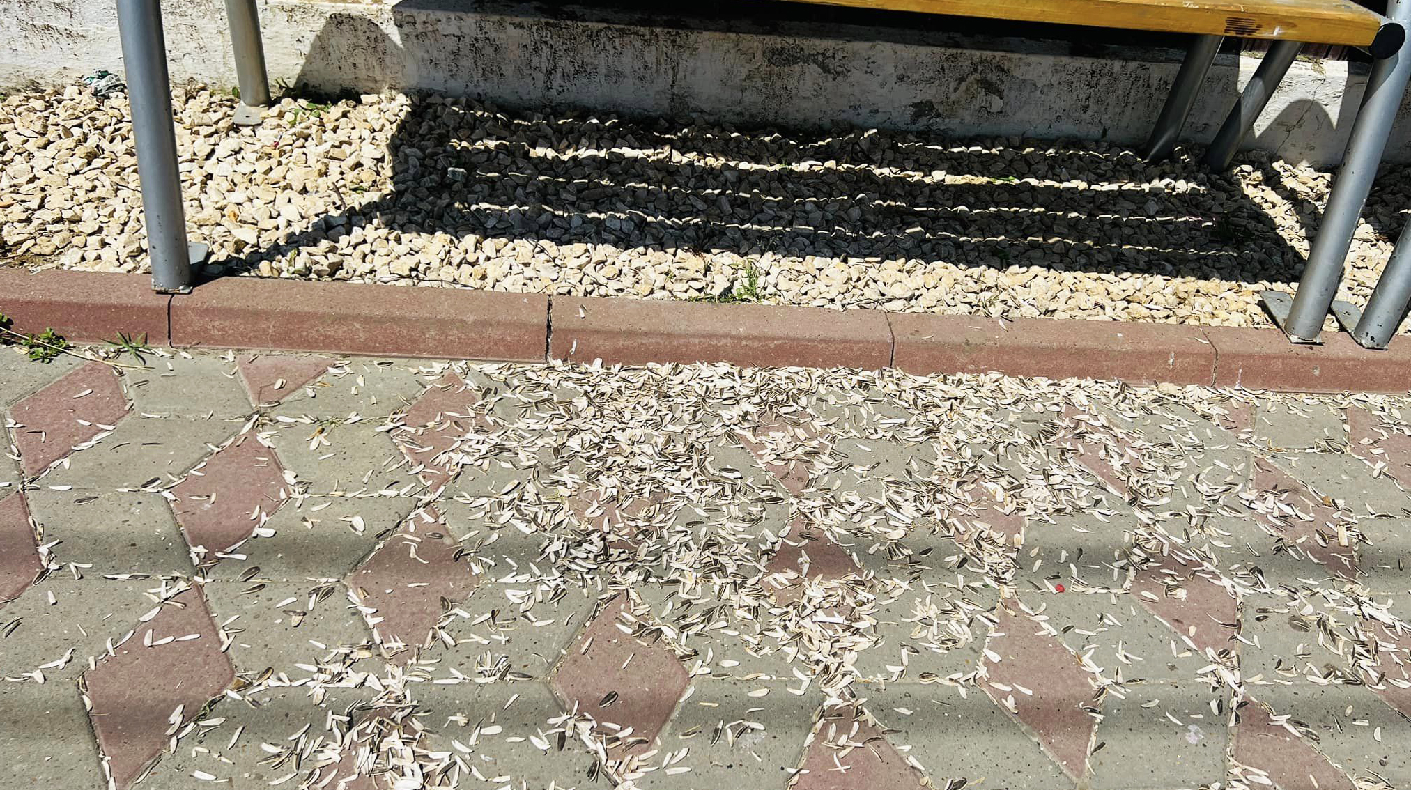 Un polițist local din Castelu a fost snopit în bătaie de un mâncător de semințe: Ce condamnare a primit acesta