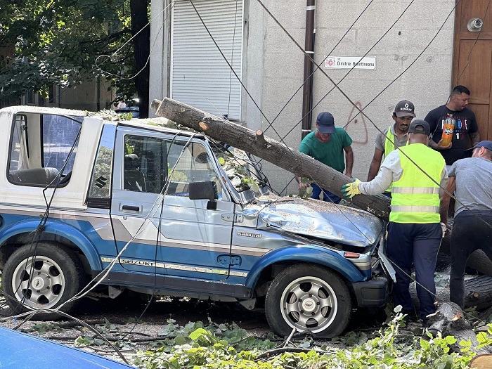 Copac căzut peste o mașină