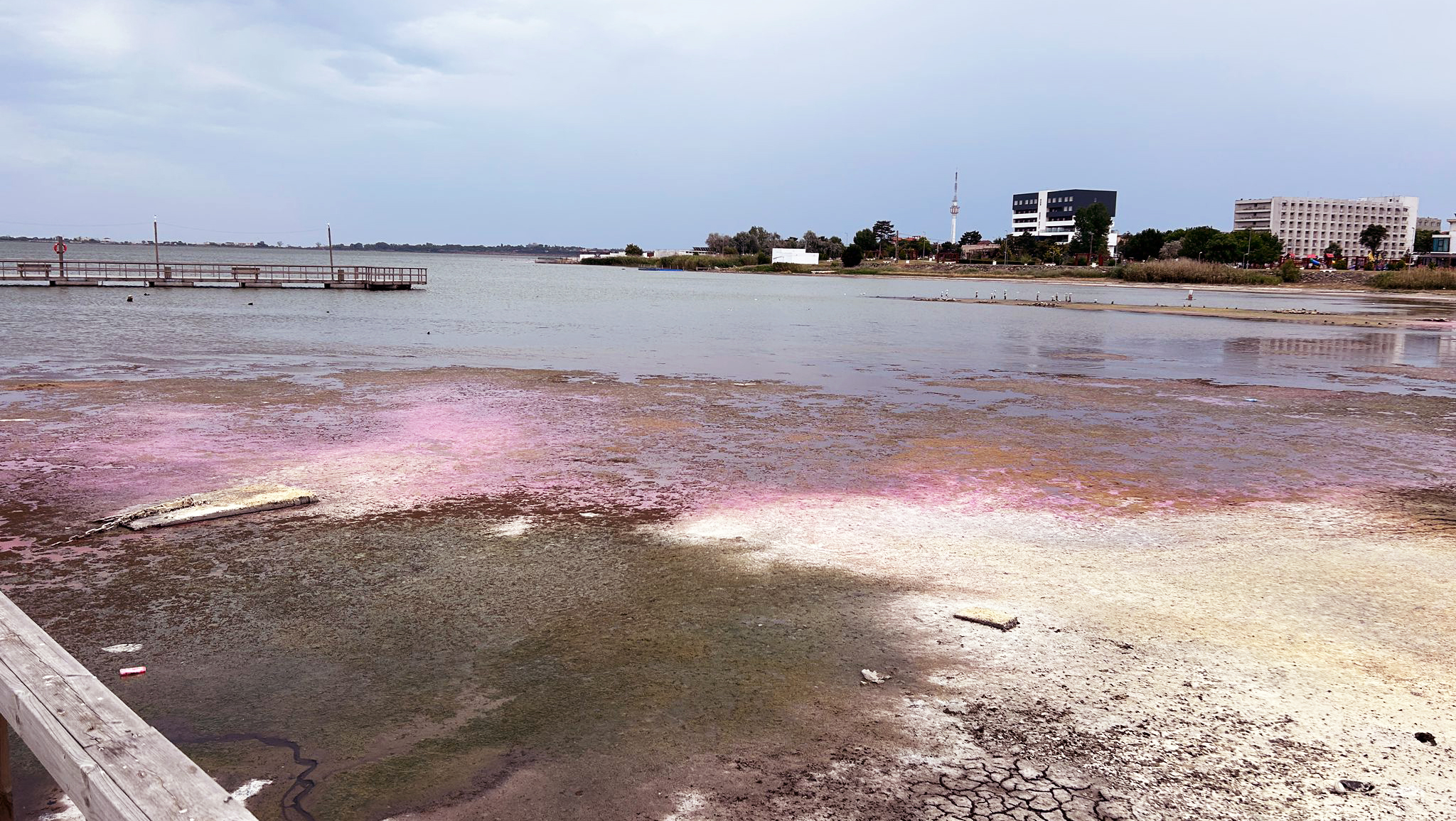 (FOTO) Fenomen SPECTACULOS pe lacul Techirghiol: Apa salină a devenit ROZ