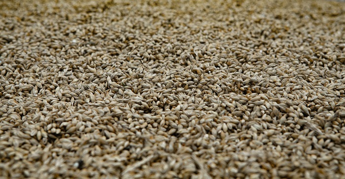 Lovitură pentru Ucraina: Rusia iese din acordul cerealelor din Marea Neagră