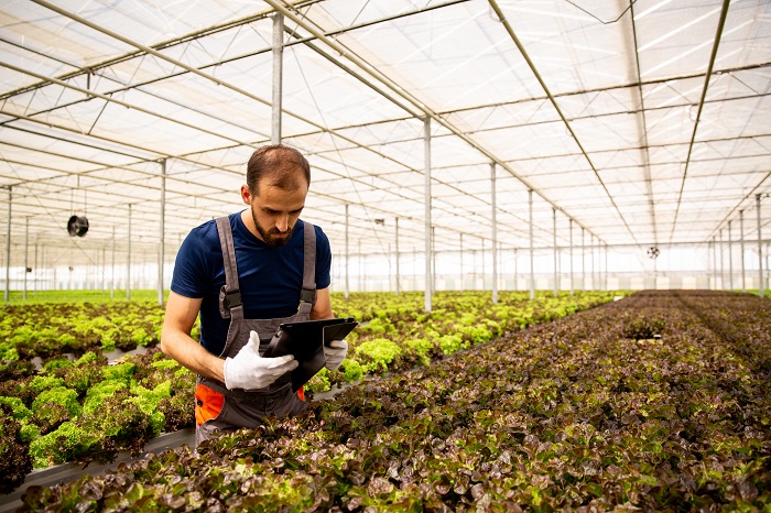 Comisia Europeană a aprobat subvenția de 3.000 euro/hectar pentru fermierii români